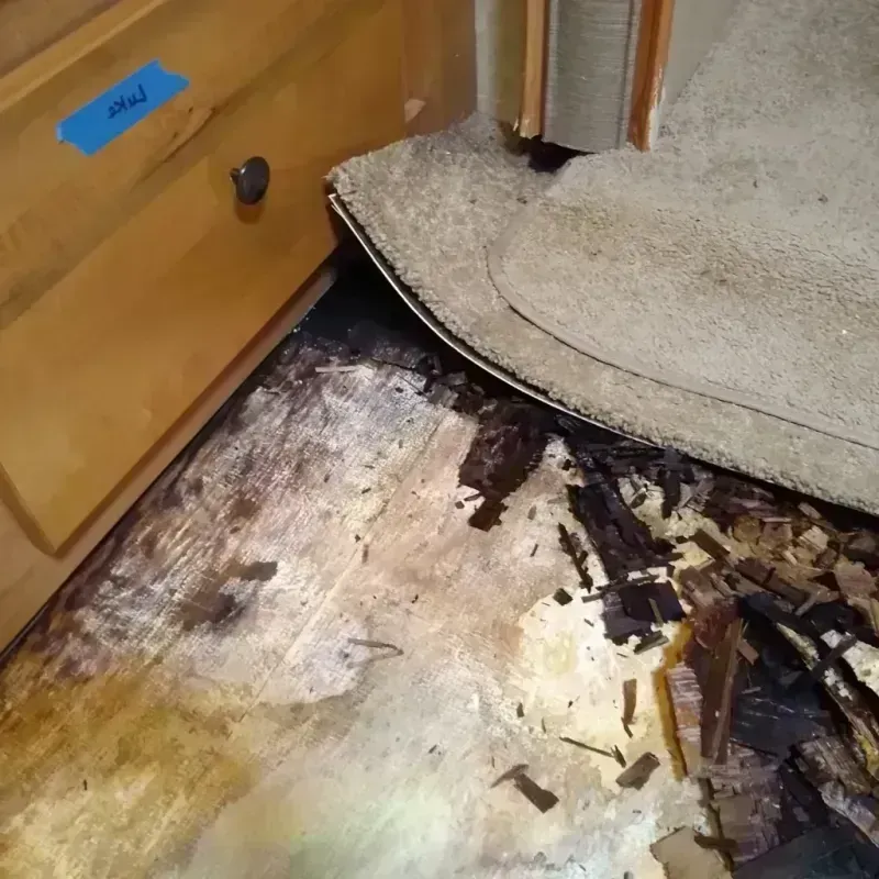 Wood Floor Water Damage in Watertown, MN